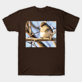 Junco No.4 T-Shirt